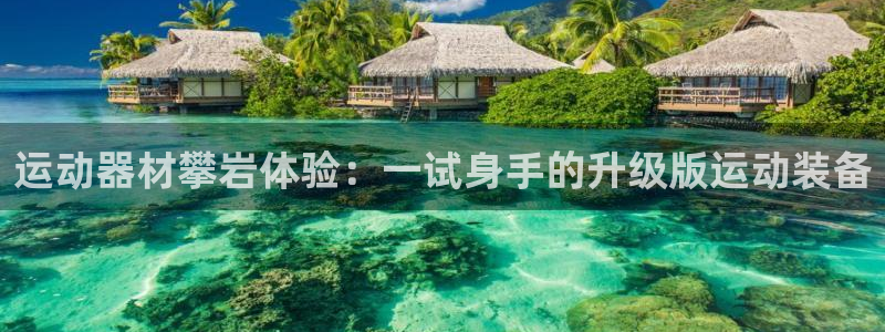 南宫大舞台官网下载招商电话号码:运动器材攀岩体验:一试身手的